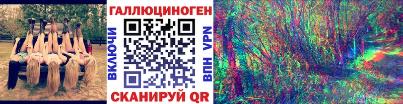 Галлюциногенные грибы Psilocybe Брюховецкая