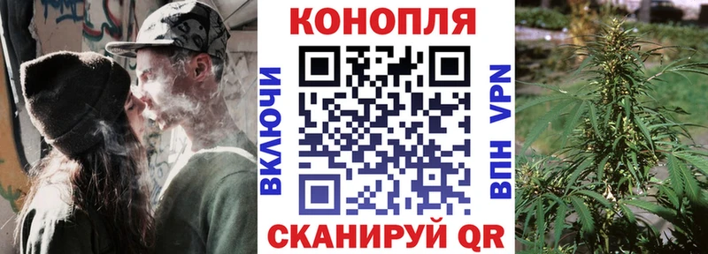 Бошки Шишки VHQ  Брюховецкая 